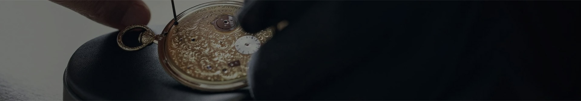 山东网点介绍服务中心